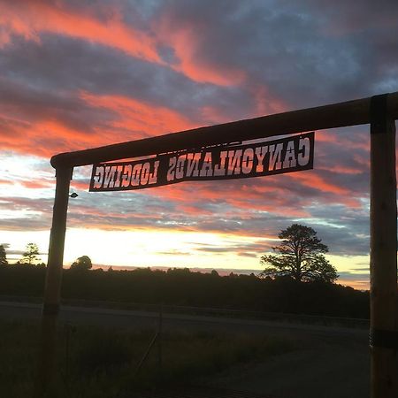 Bluebell Cabin, Glamour Cabin Camping, Stunning Night Sky Monticello Exterior foto